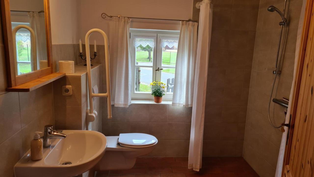 Ferienhaus Am Muehlteich Rietschen Luaran gambar